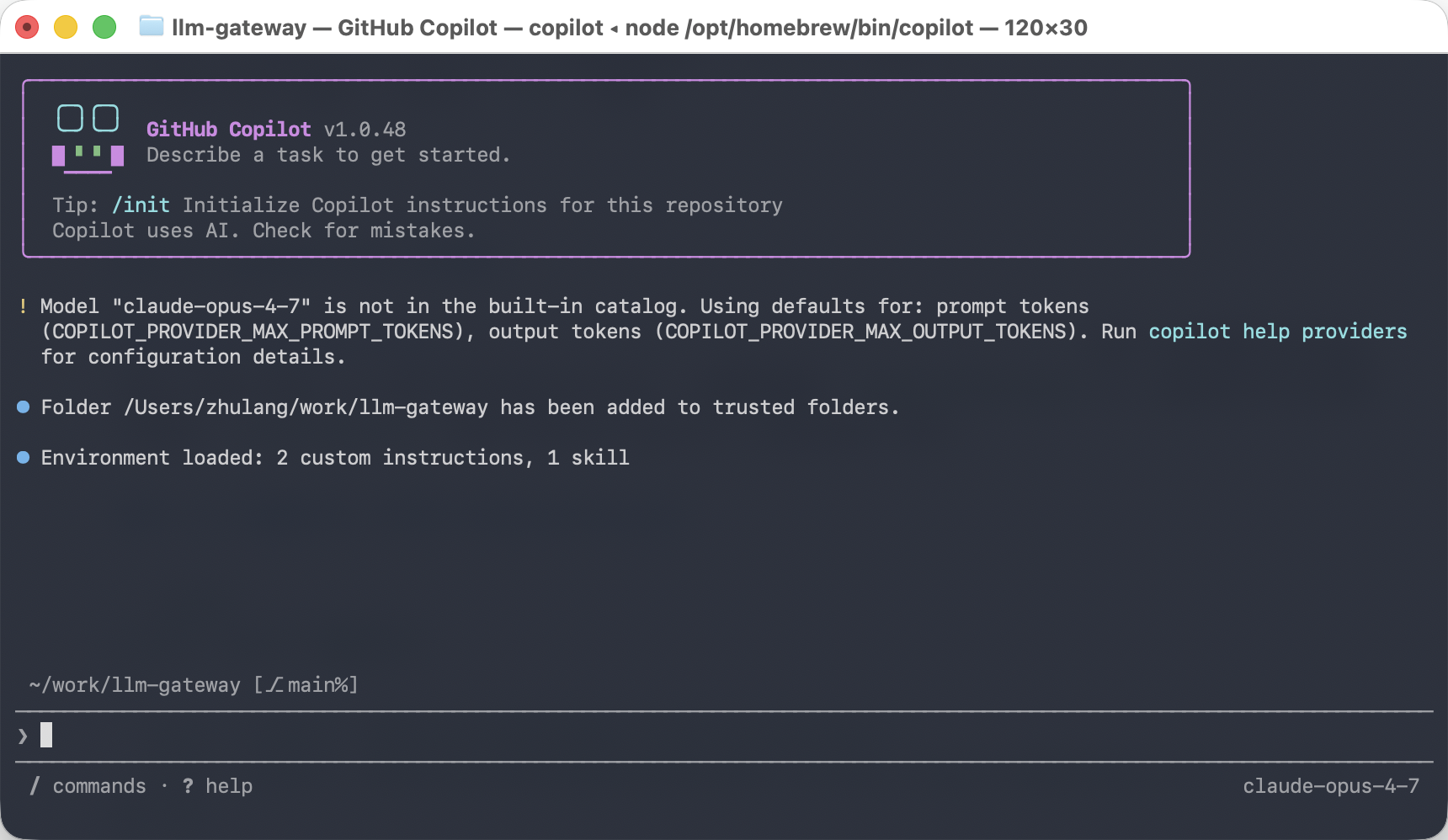Copilot CLI 启动效果